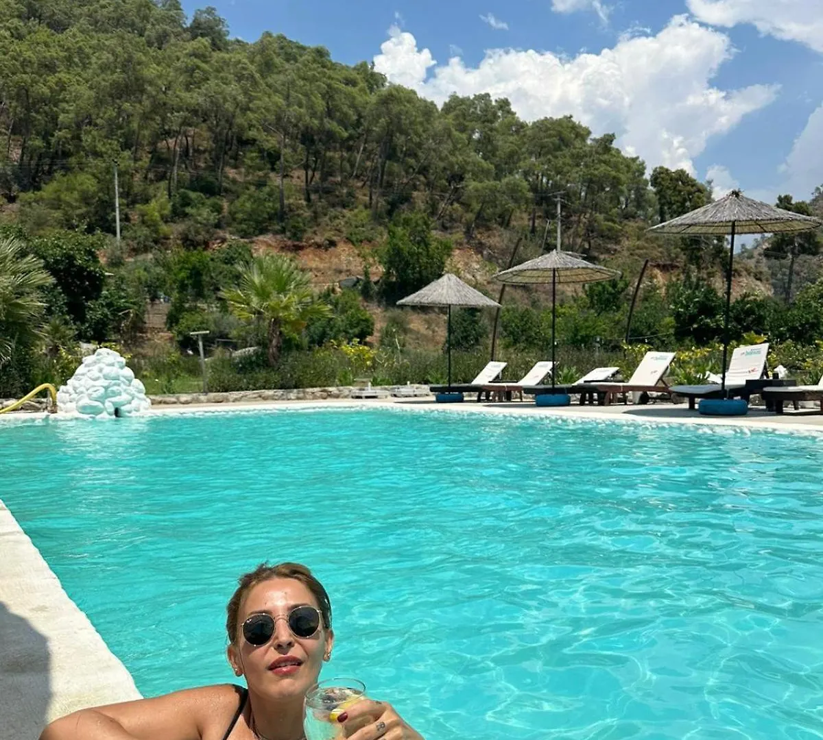 アパートホテル Zirkon Valley Boutique Hotel フェティエ